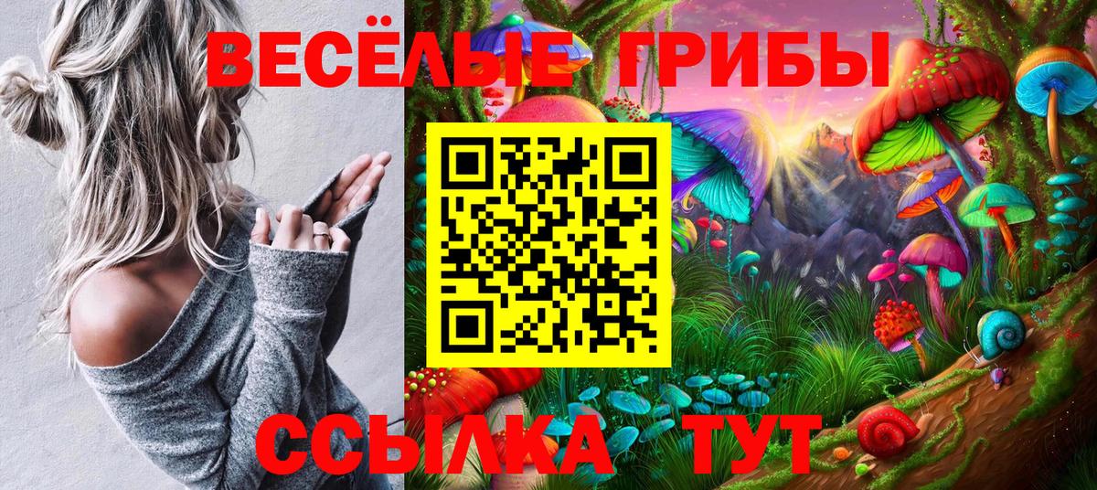 Советский  Галлюциногенные грибы Magic Shrooms  купить  сайты  Вход с VPN 